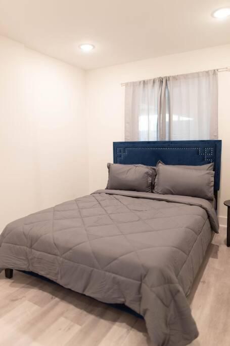 Platinum Palace 1Br 1Ba - Central Dallas Stay Extérieur photo