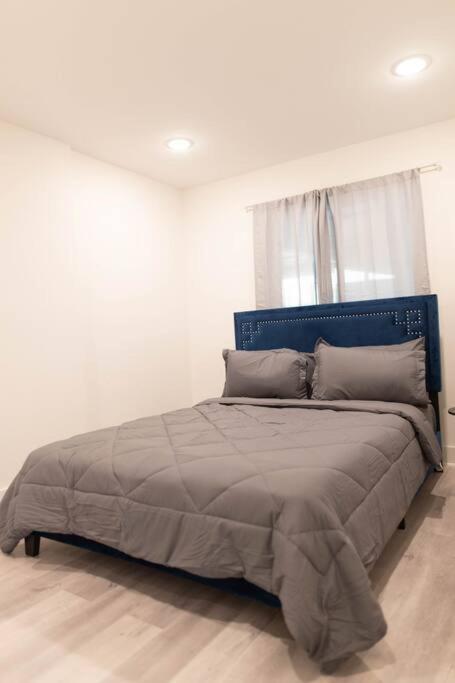 Platinum Palace 1Br 1Ba - Central Dallas Stay Extérieur photo